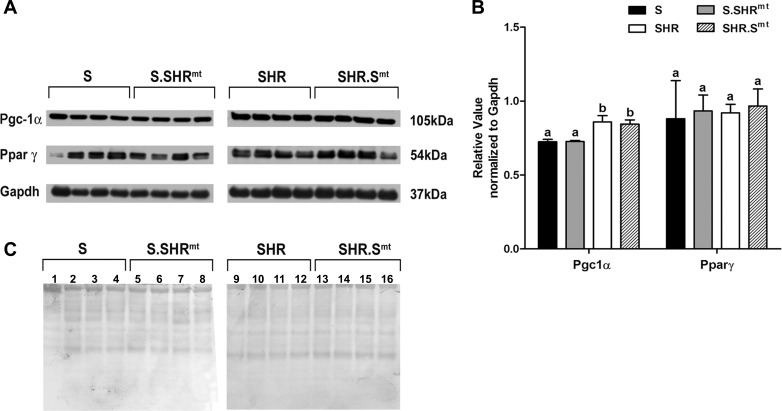 Fig. 9.