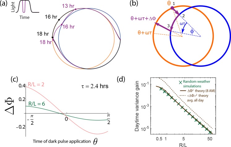 Appendix 5—figure 2.