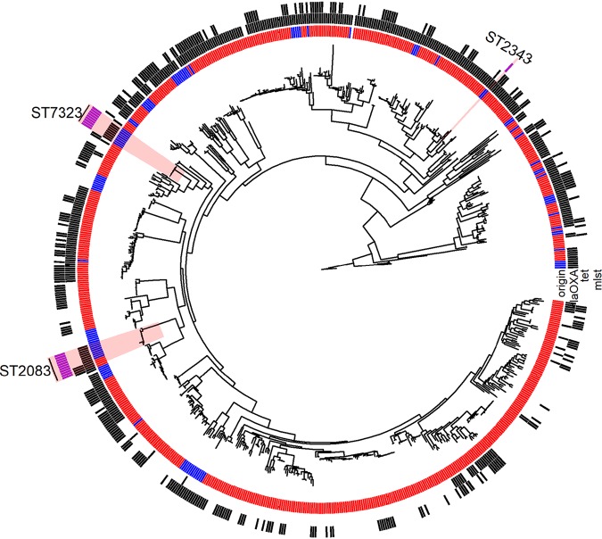 FIG 3