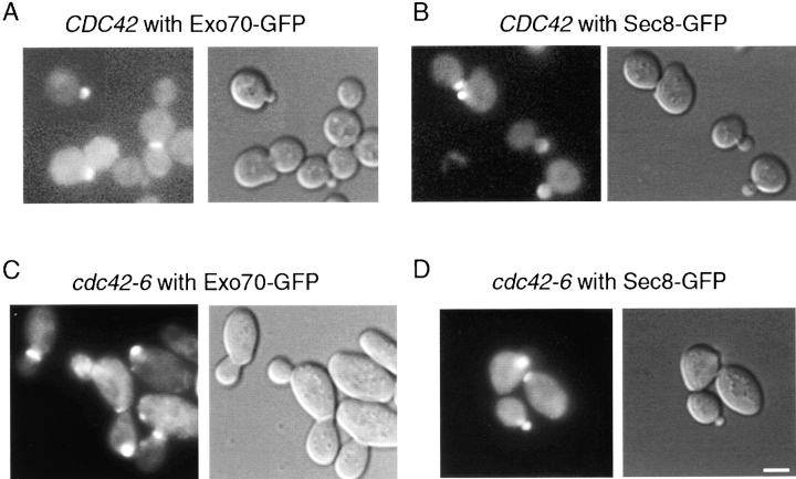 Figure 9.