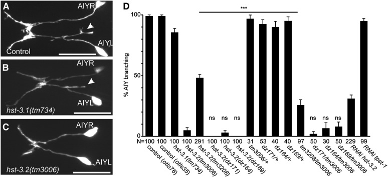 Figure 4 