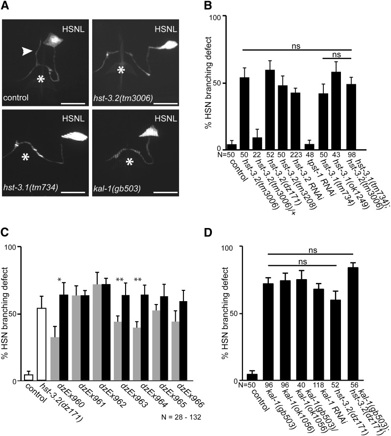 Figure 3 