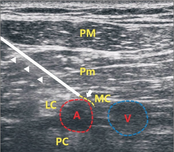 Fig. 3.