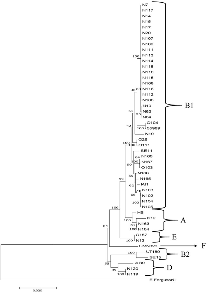 FIGURE 4