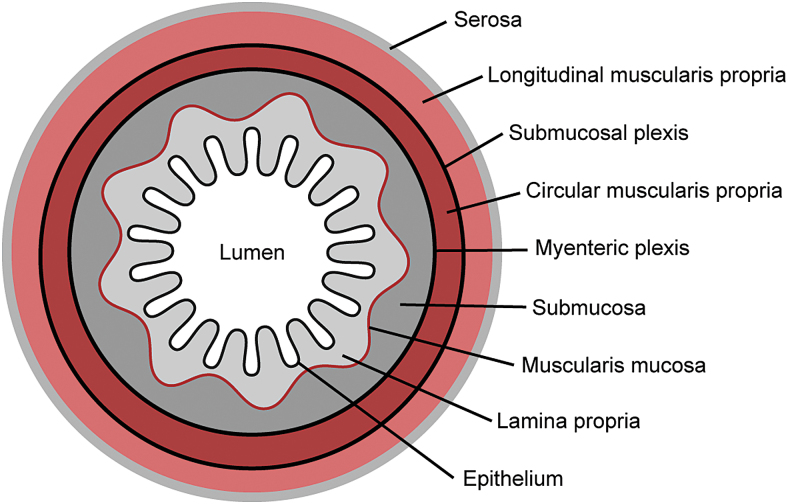 FIG. 1.