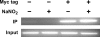 FIG. 5.