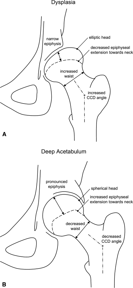 Fig. 5A–B