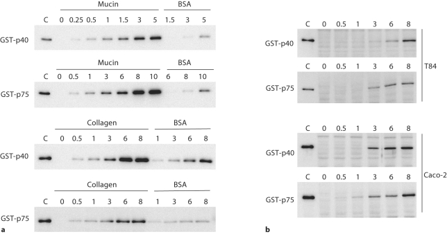 Fig. 8