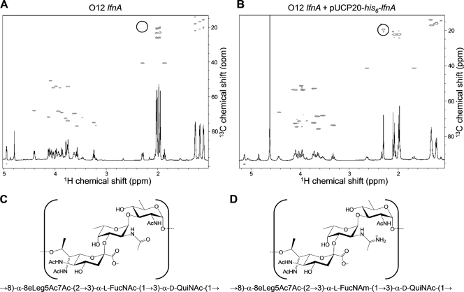 FIG. 2.