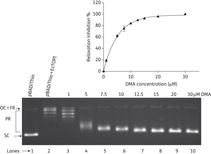 Figure 2.