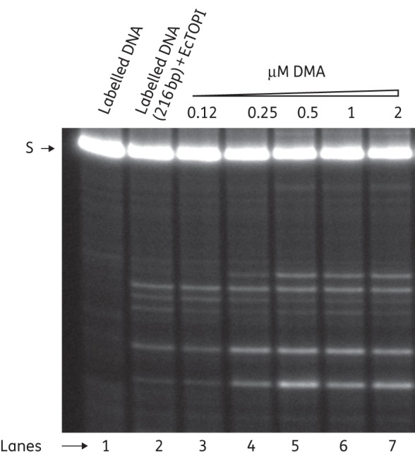 Figure 3.