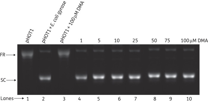 Figure 7.