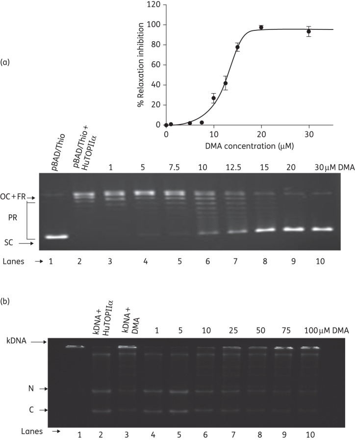 Figure 6.