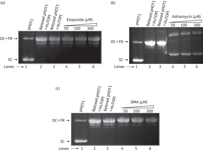 Figure 4.