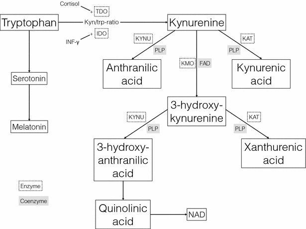 Fig. 1