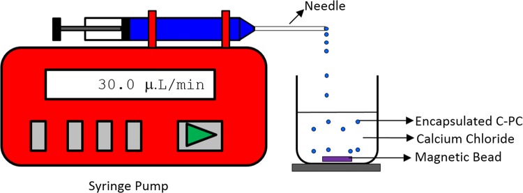 Fig. 1