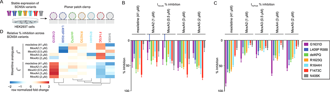 Figure 3: