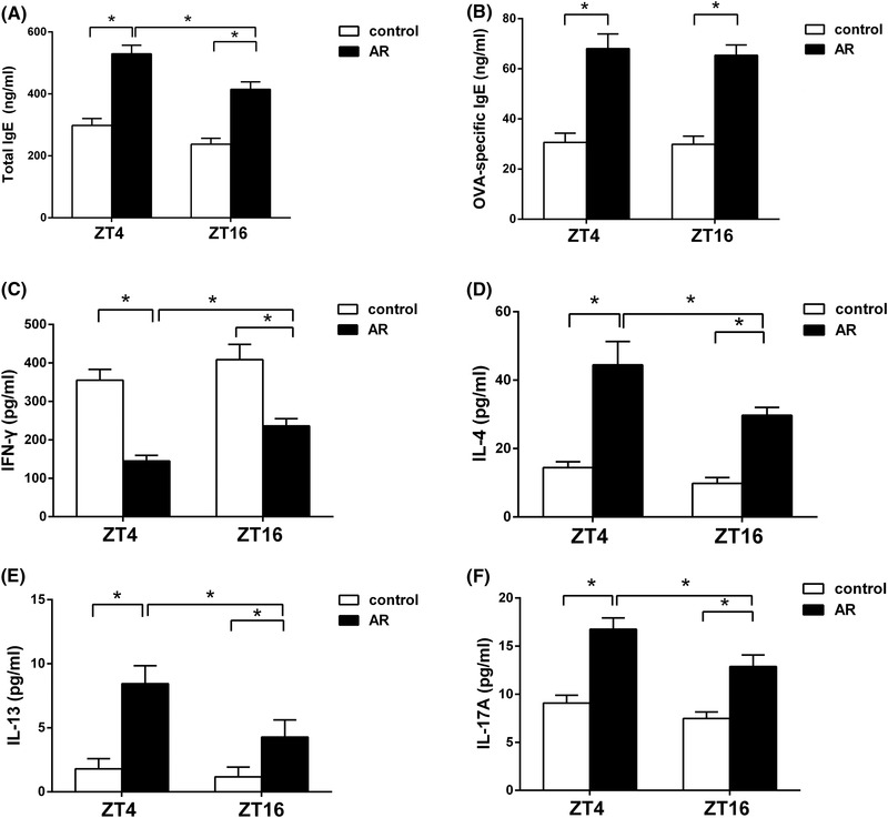 FIGURE 4