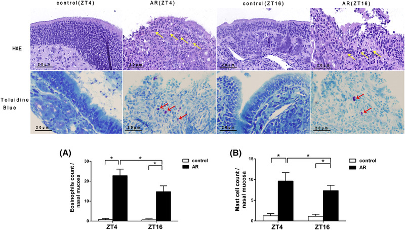 FIGURE 3