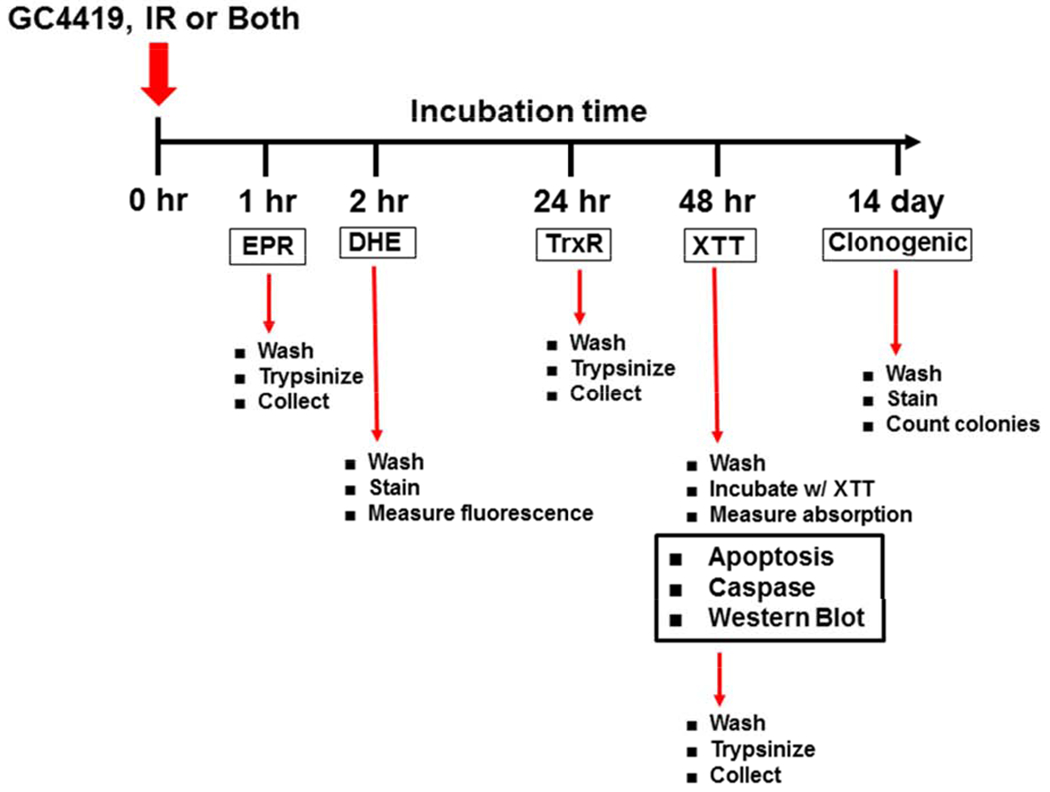 Fig. 2: