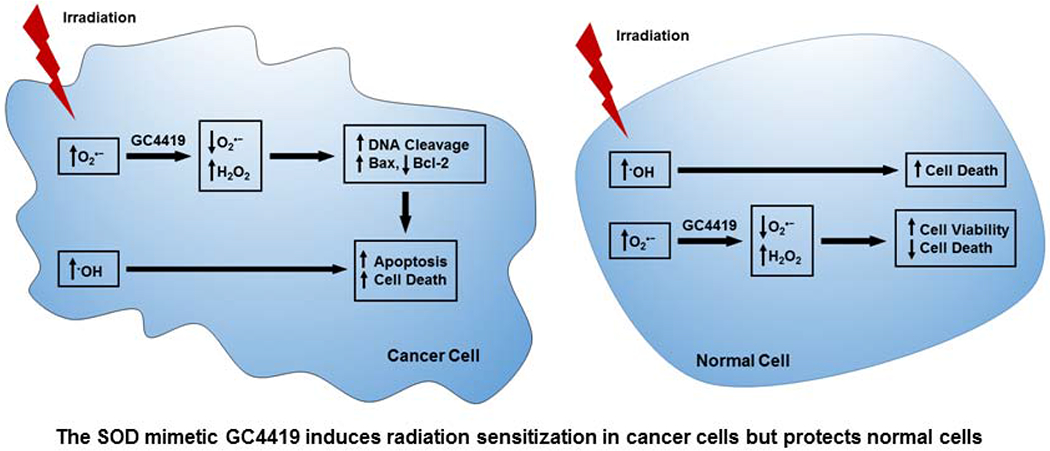 graphic file with name nihms-1629456-f0014.jpg