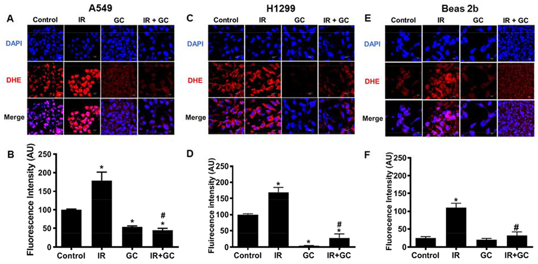 Fig. 6: