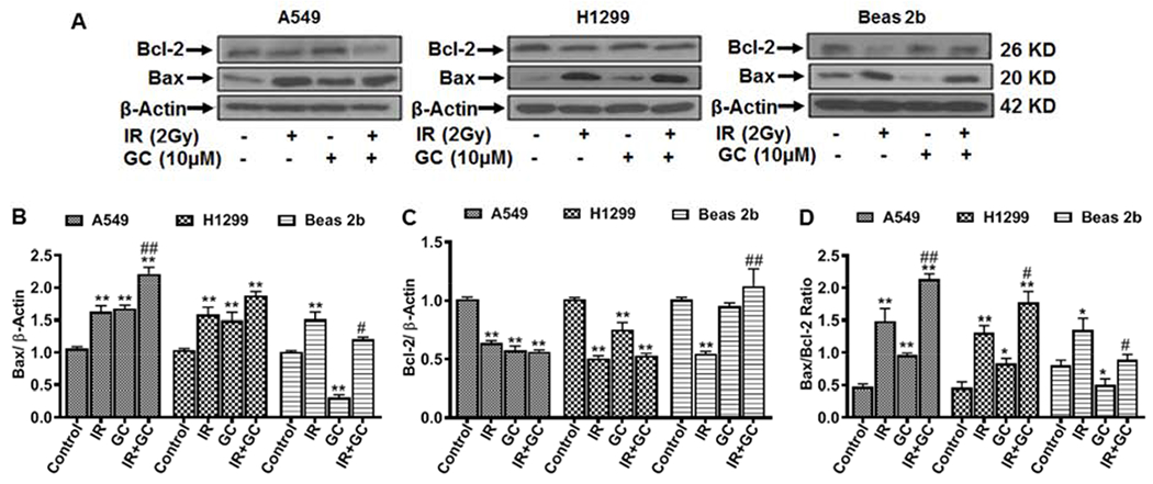 Fig. 12: