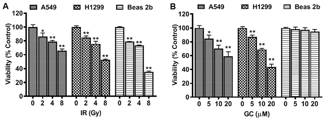 Fig. 8: