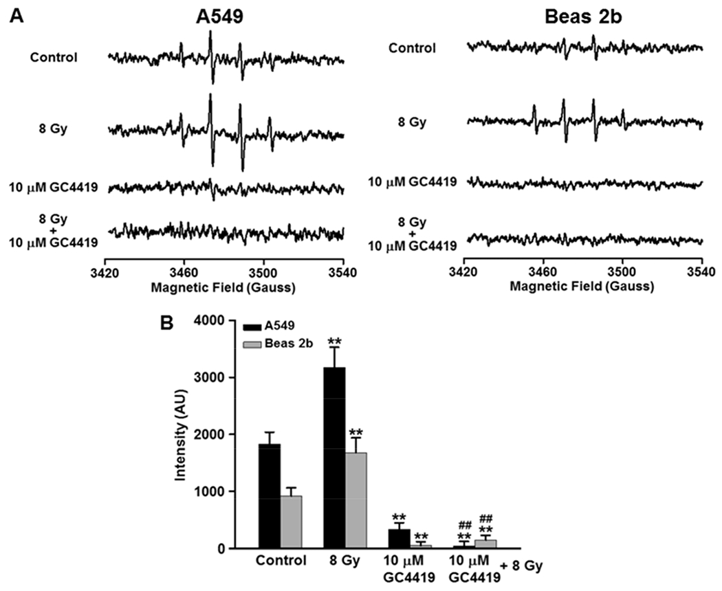 Fig. 7: