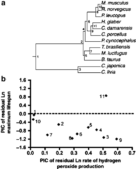 Fig. 3