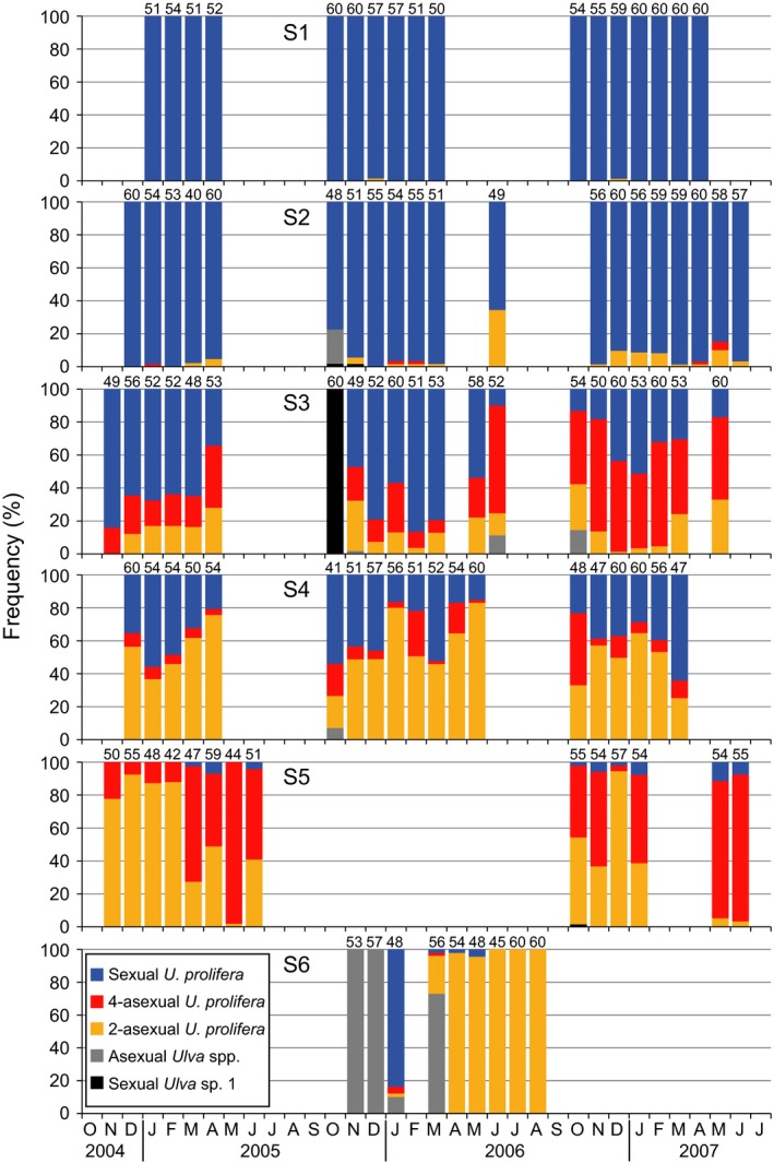 Figure 5