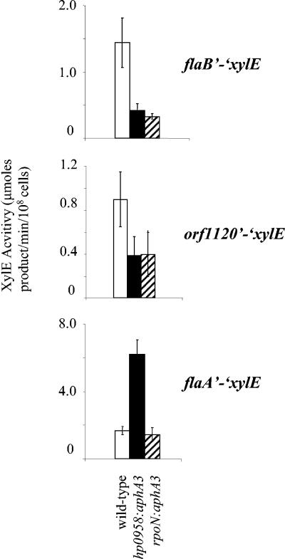 FIG. 3.