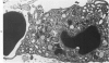 84