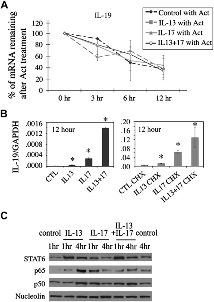 FIG 4