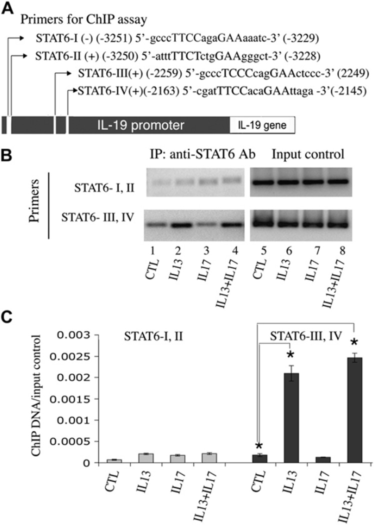 FIG 6