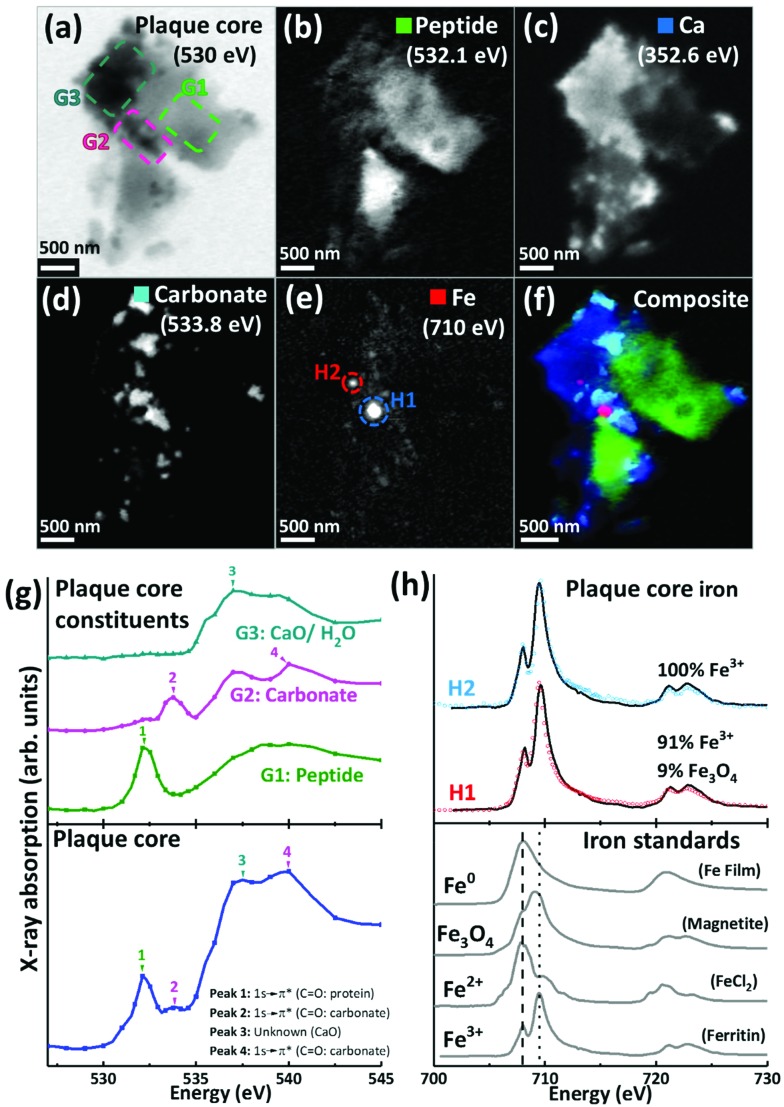 Fig. 2