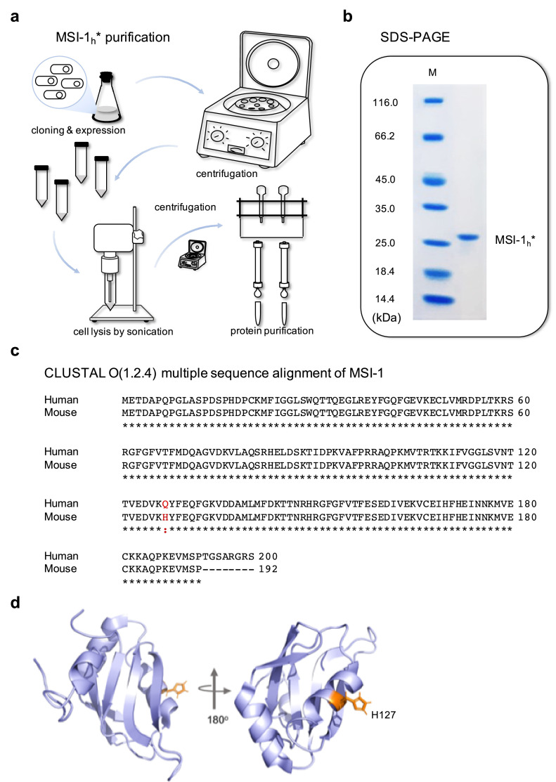 Figure 2—figure supplement 2.
