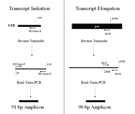 Fig. (2)