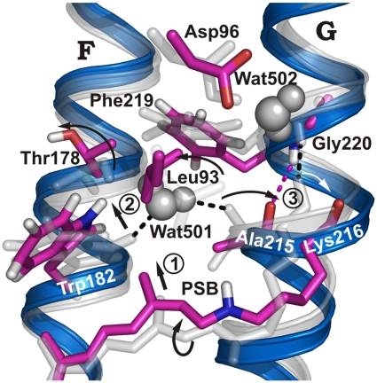 Fig. 2.