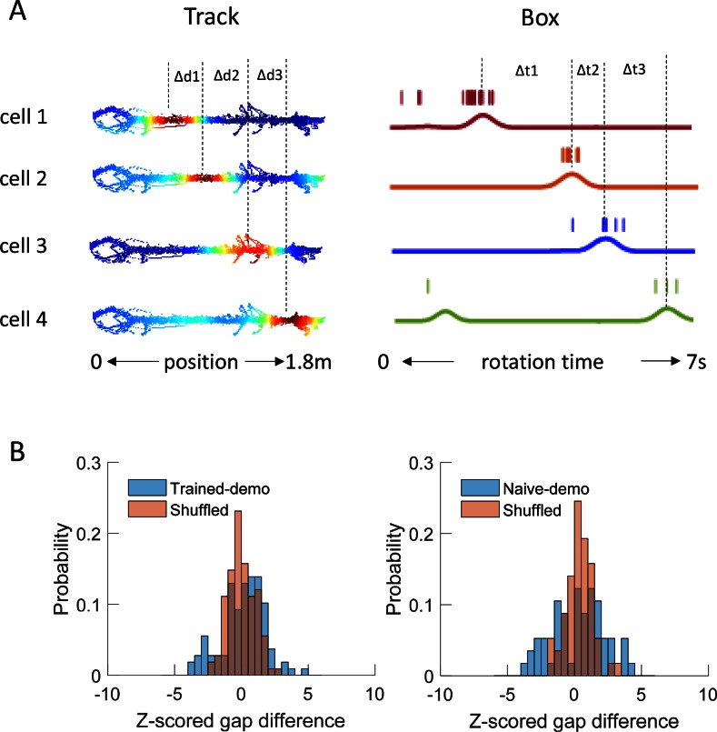 Figure 4—figure supplement 2.