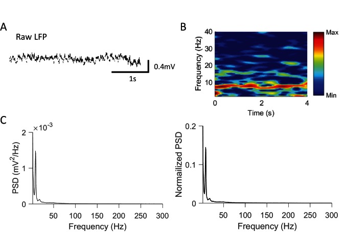 Figure 1—figure supplement 1.