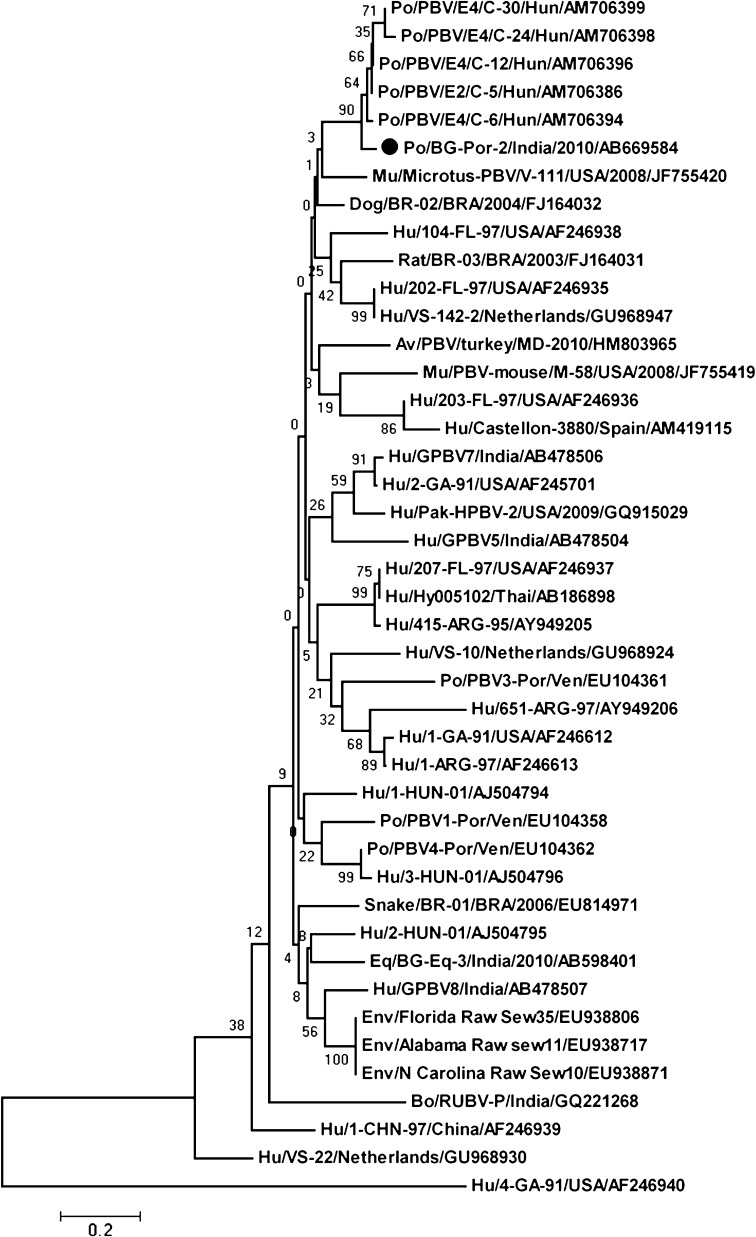 Fig. 1