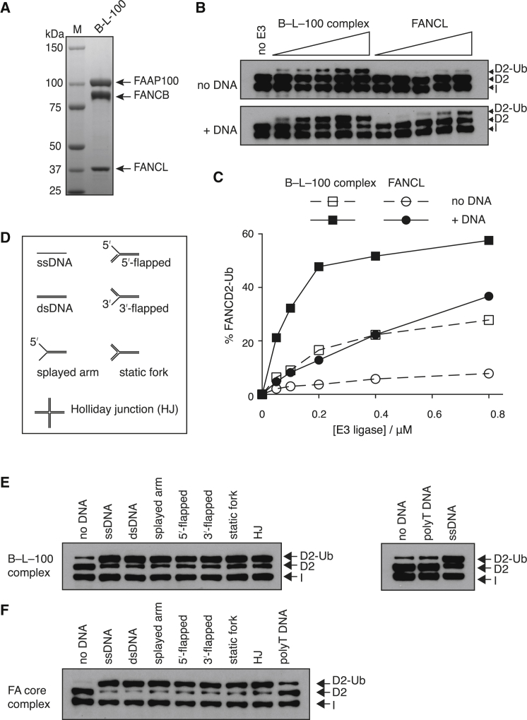 Figure 6