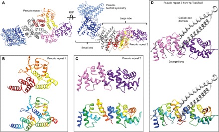 Fig. 2