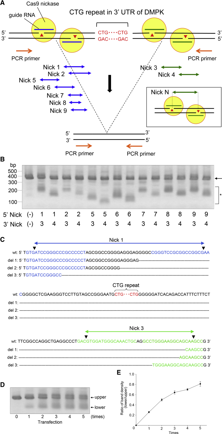 Figure 2