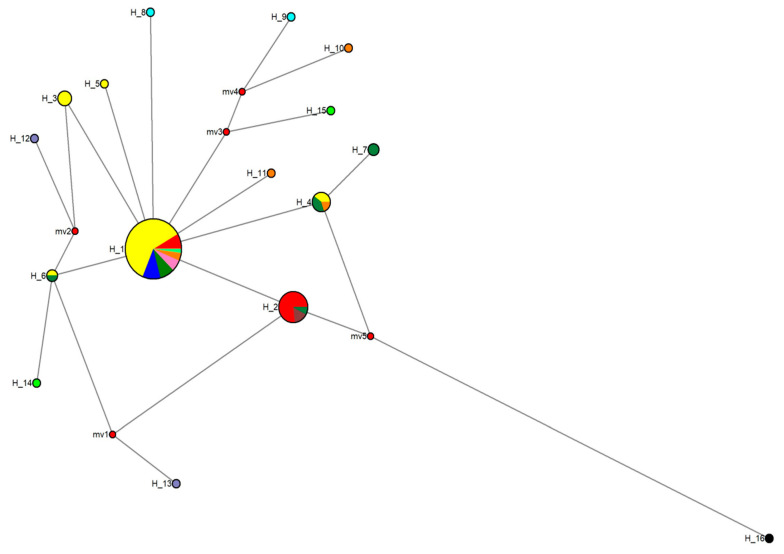 Figure 15