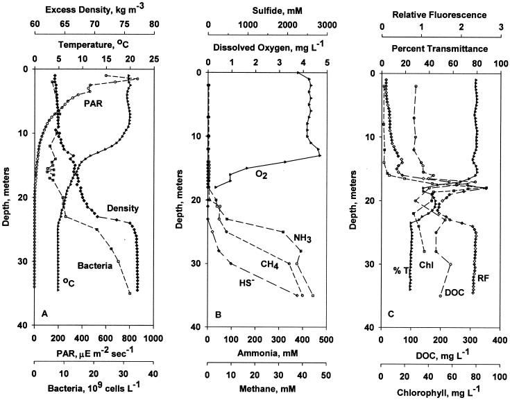 FIG. 1.