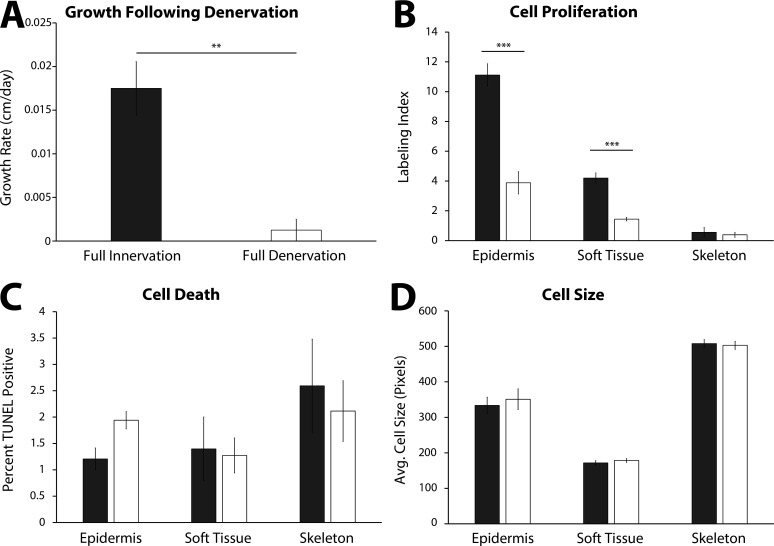 Figure 4—figure supplement 1.