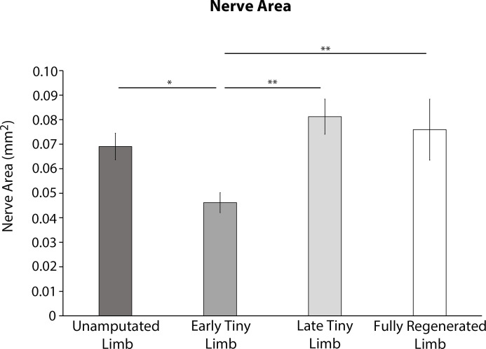 Figure 3—figure supplement 1.