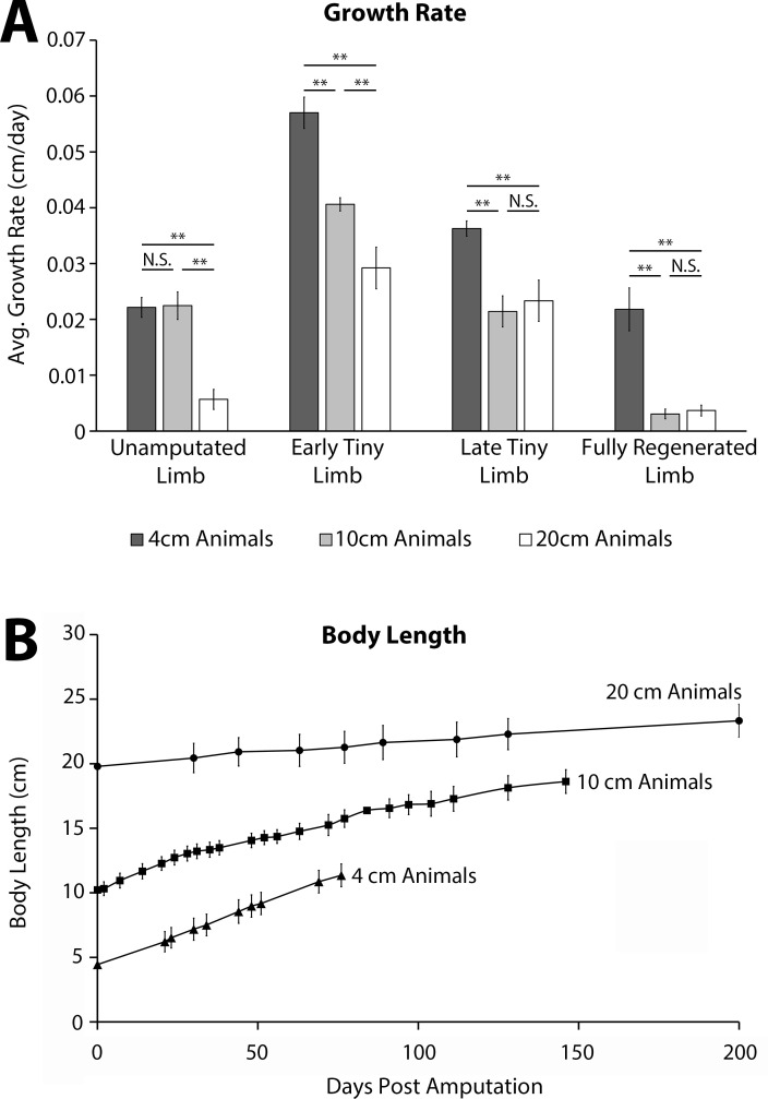 Figure 1—figure supplement 2.